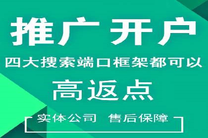 百度竞价推广代运营经典案例分析